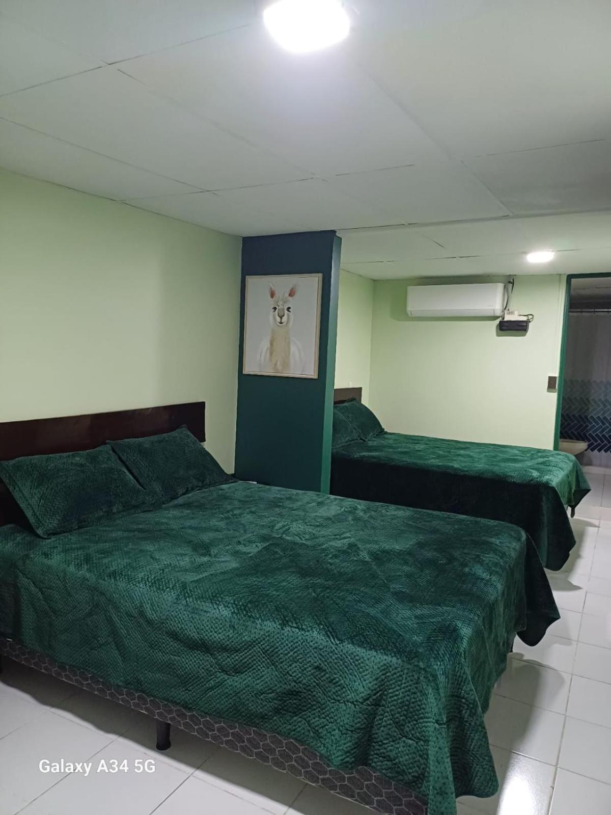 Guest house Hostal Casa 1717 *